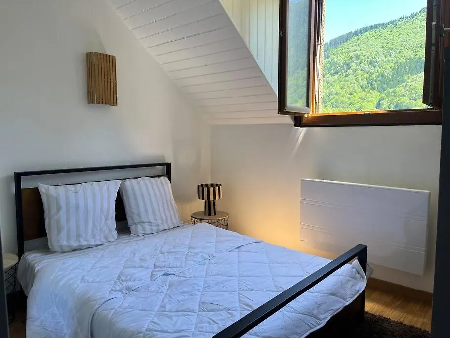 Cozy Pyrenees Mountain Retreat Apartment Castillon-de-Larboust