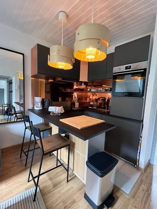 Cozy Pyrenees Mountain Retreat Apartment Castillon-de-Larboust France